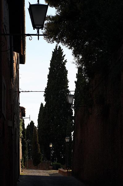 3-Siena,14 maggio 2011.jpg